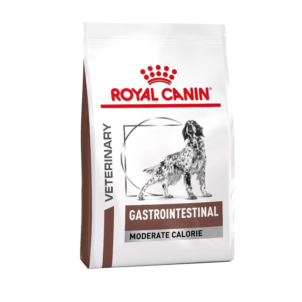 Royal Canin Veterinary Diets Gastrointestinal Moderate Calorie torrfoder för hund