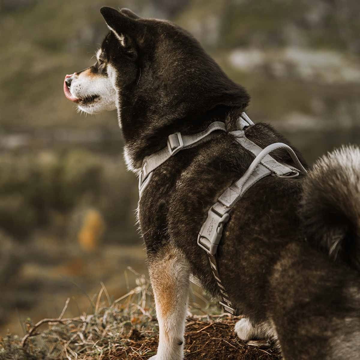 Hurtta Venture No-Pull Harness shadow