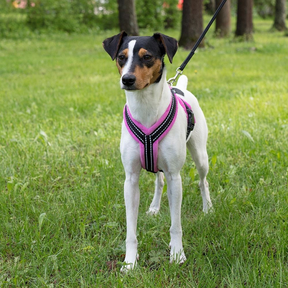 Basic Cosy Y-sele Rosa