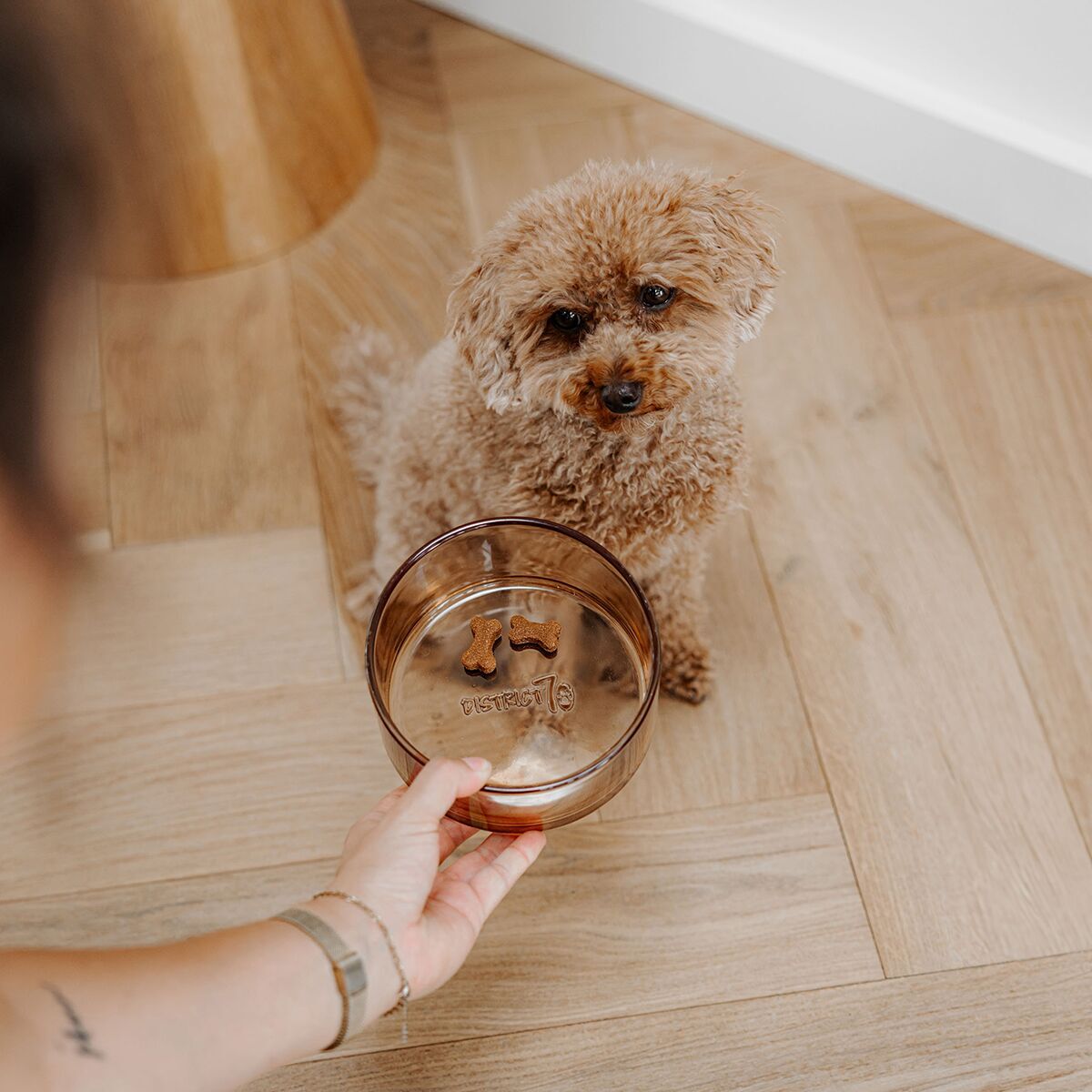 Glass bowl District 70, Dawn Champagne