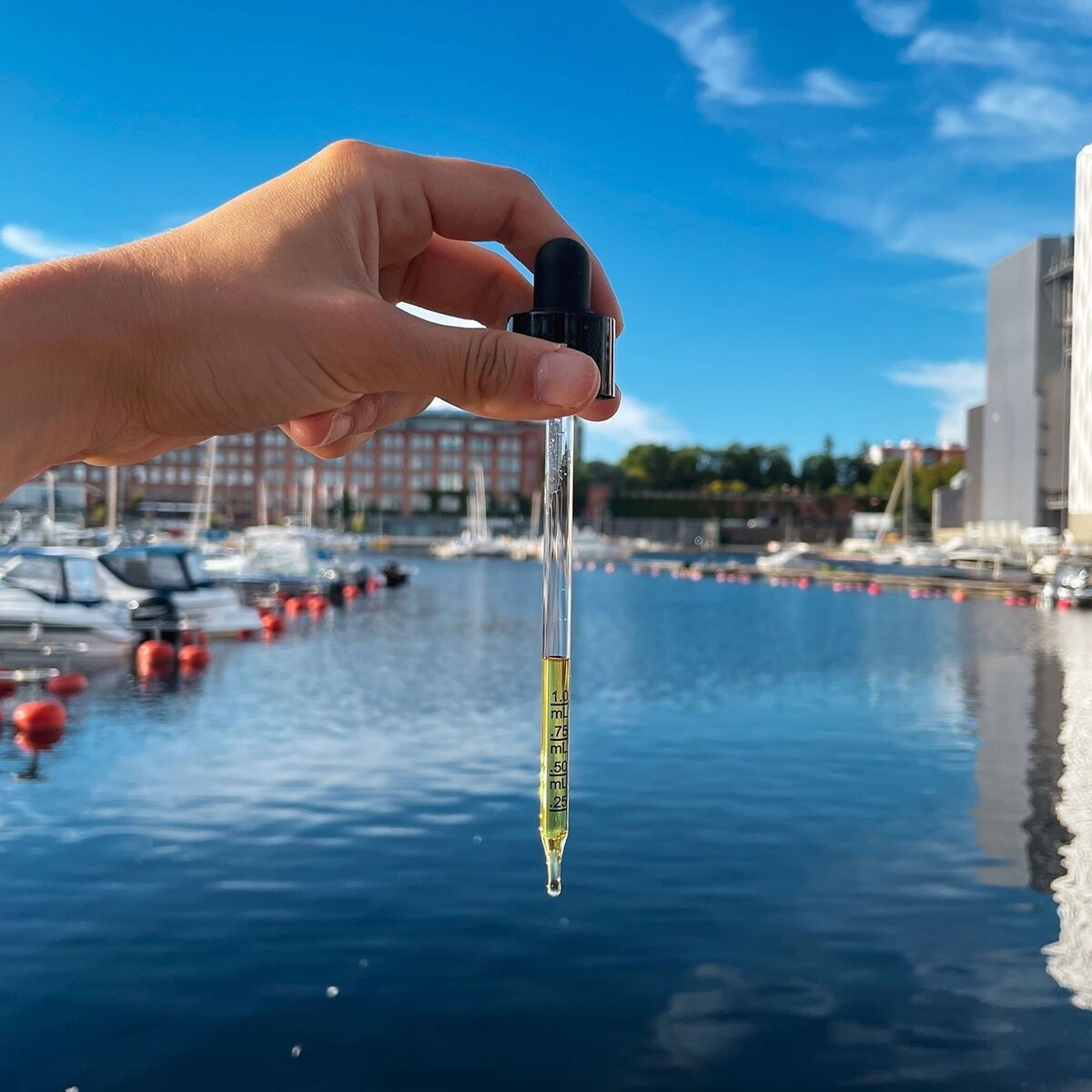 Tassu Foods Omega3+Buckthorn