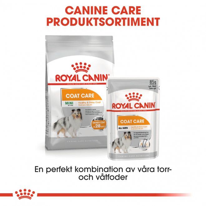 Royal Canin Coat Care Mini Adult torrfoder för hund