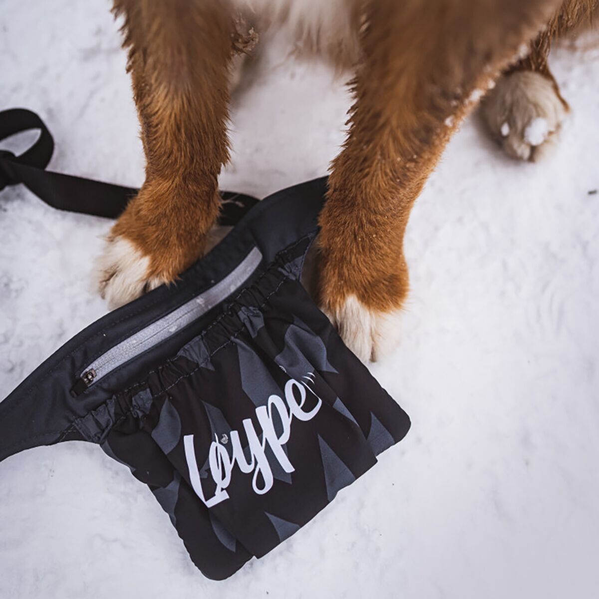 Loype Treat Bag