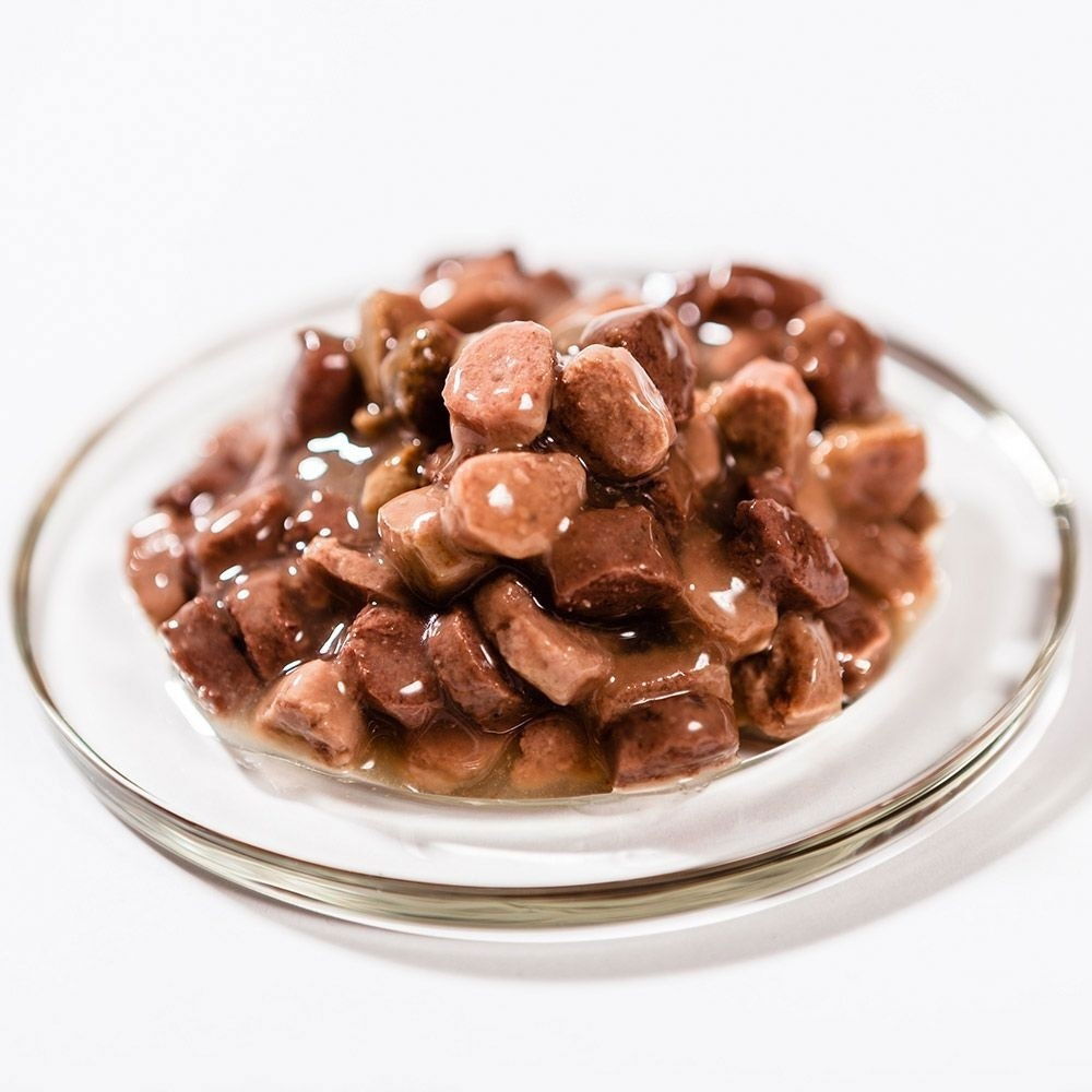 Brit Premium Salmon & Trout Chunks in gravy Adult 100 g