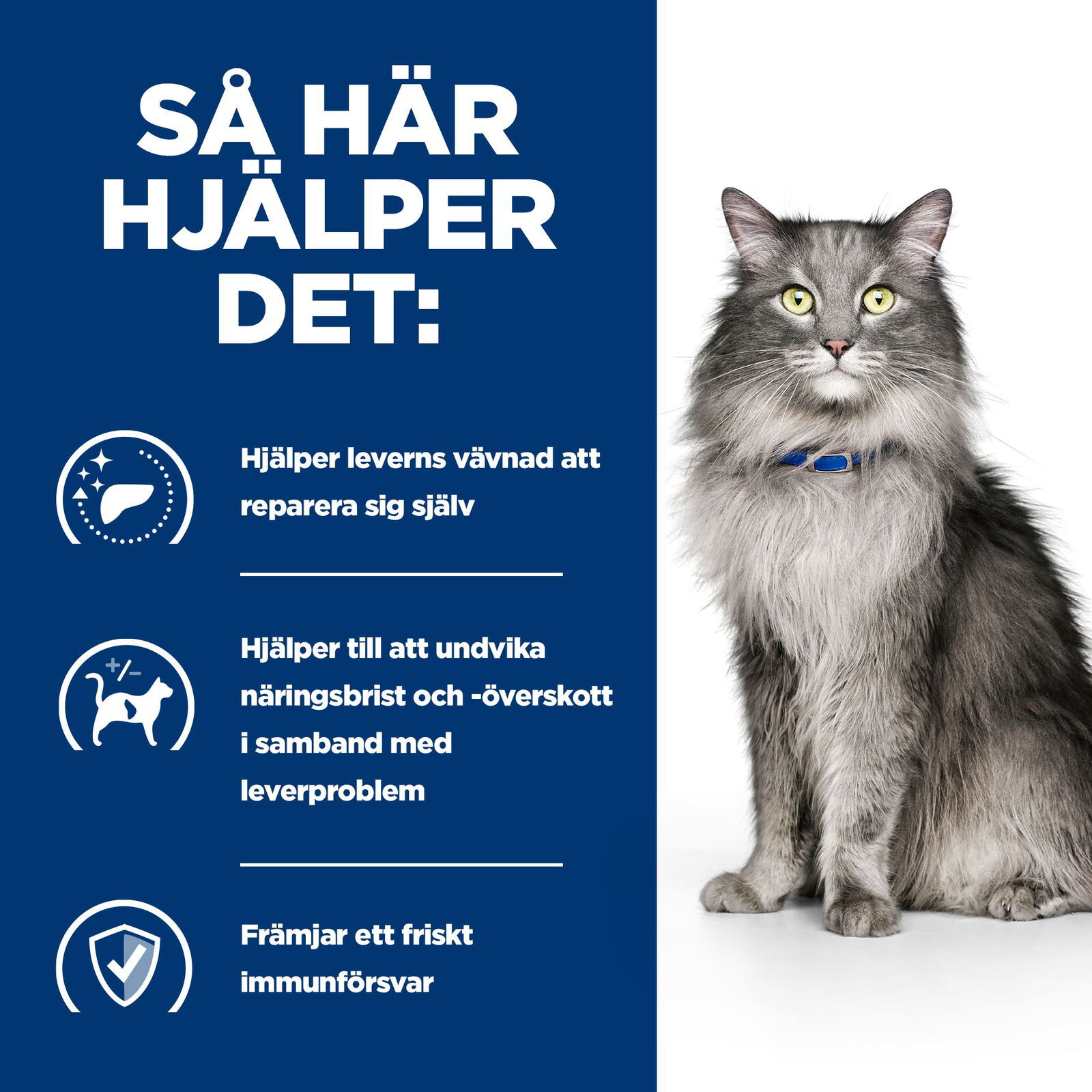 Hills Diet Cat l/d 1,5kg