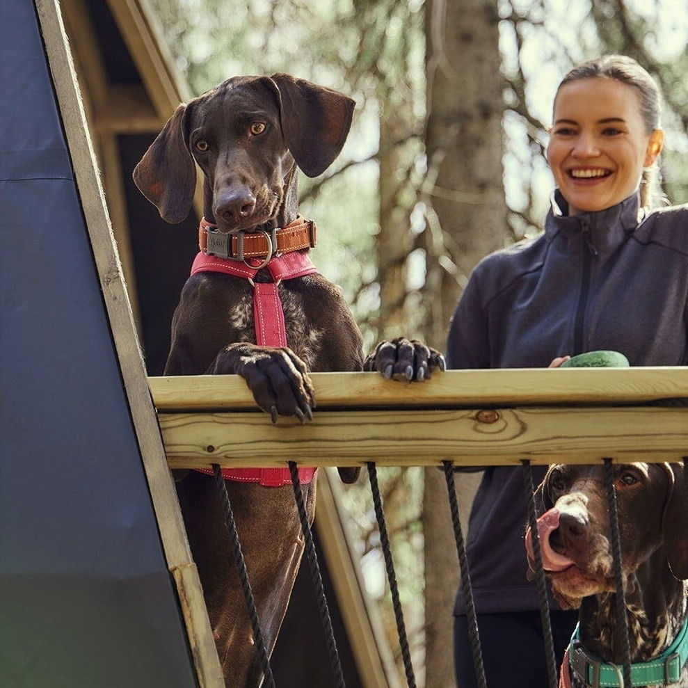 Hurtta Casual Y-harness ECO ruby