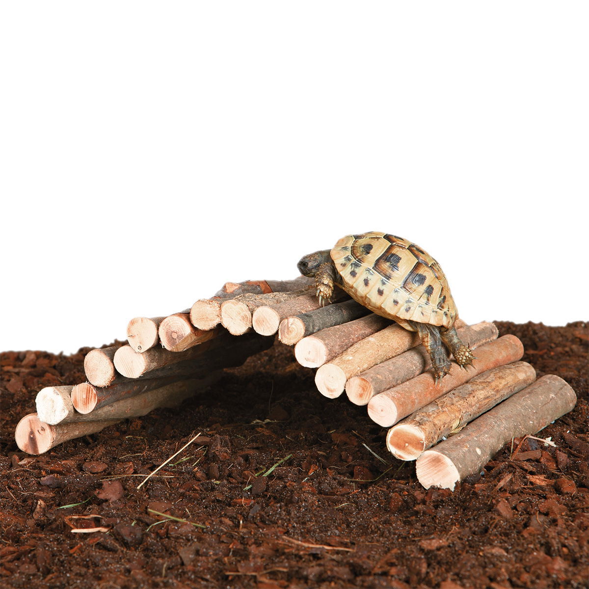 Trixie Flexibel Träbro | Övriga djur - Reptil - Terrarieinredning | DogStyle
