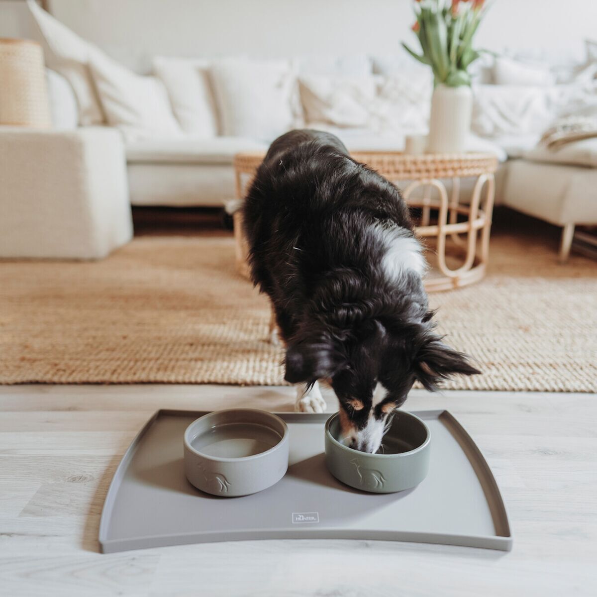 Hunter Food Bowl Base