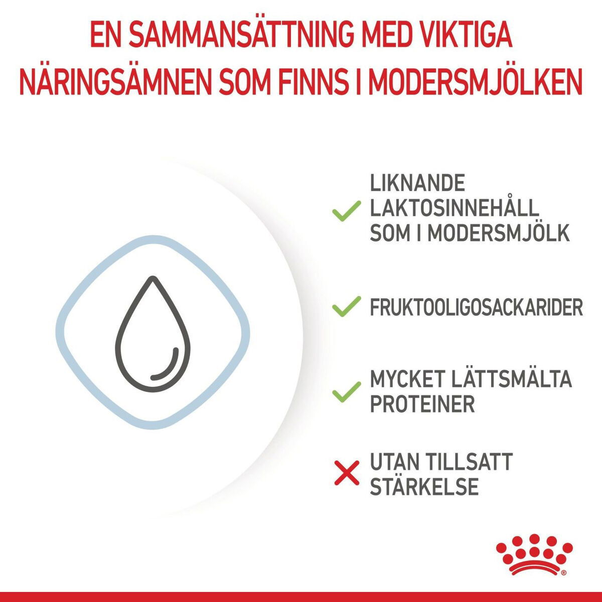 Royal Canin Babydog Milk mjölk för hundvalp