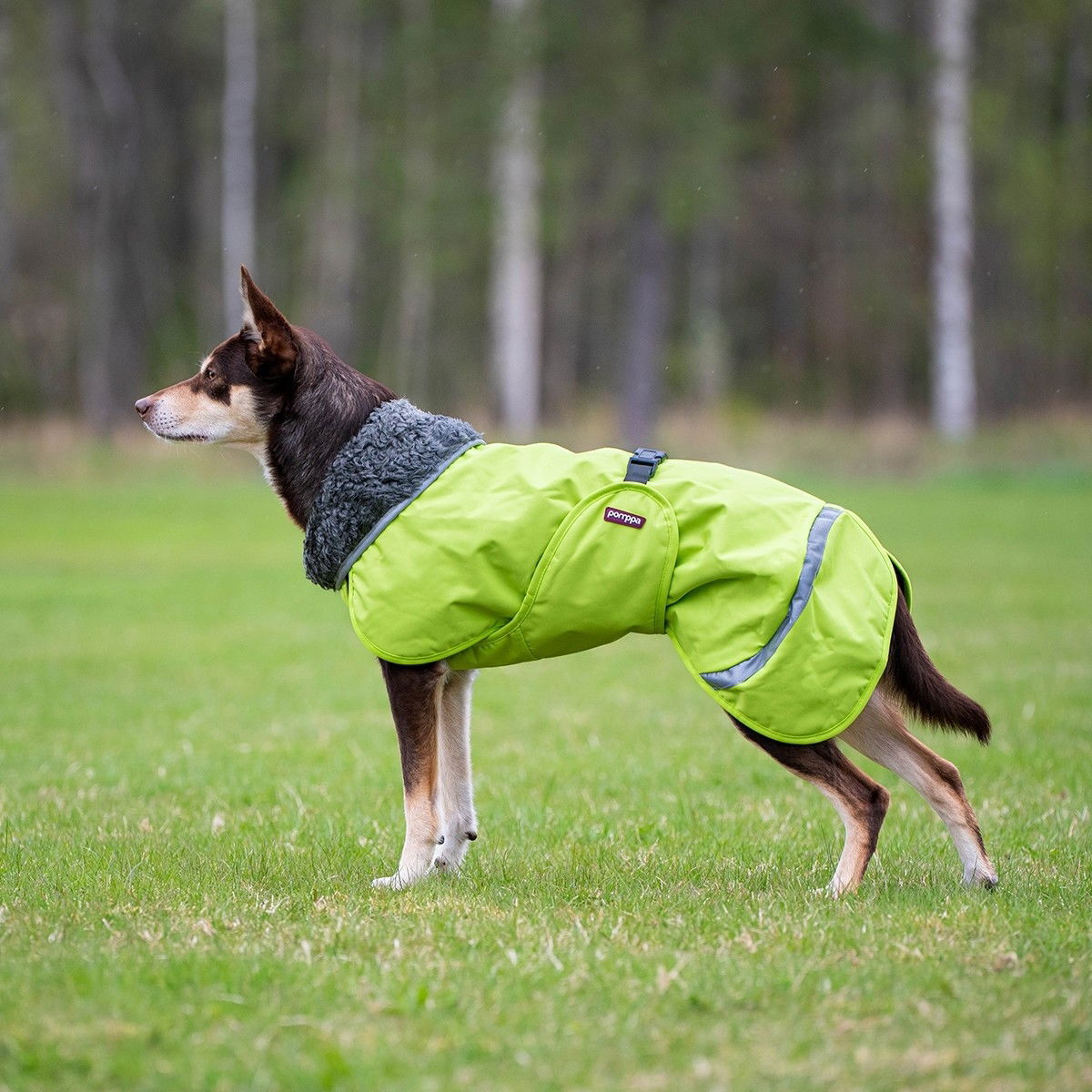 Pomppa dog jacket Perus, Lime