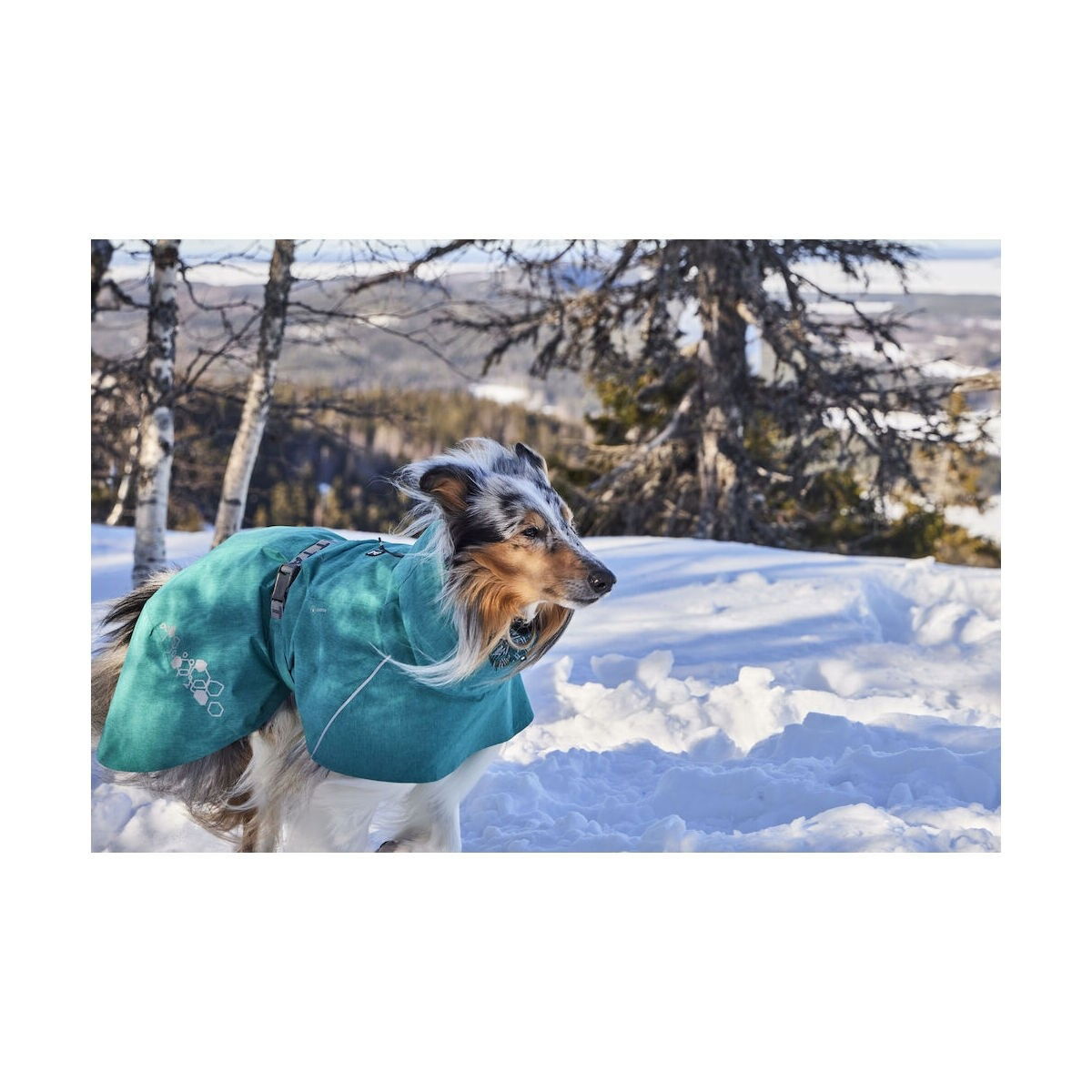 Hurtta Monsoon Coat II ECO peacock