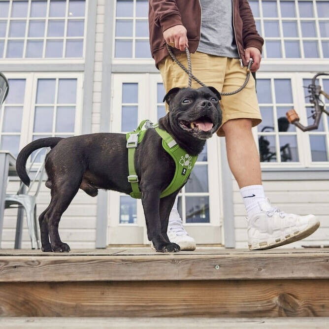 Hurtta Weekend Warrior Harness II ECO parsley