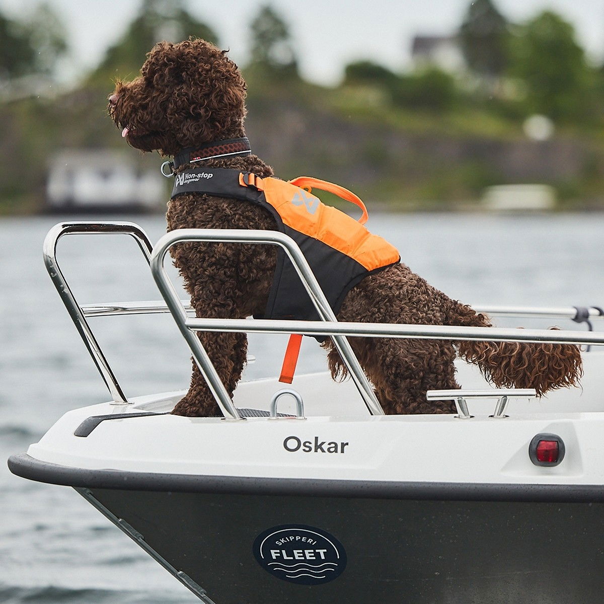 Non-Stop Protector life jacket black/orange