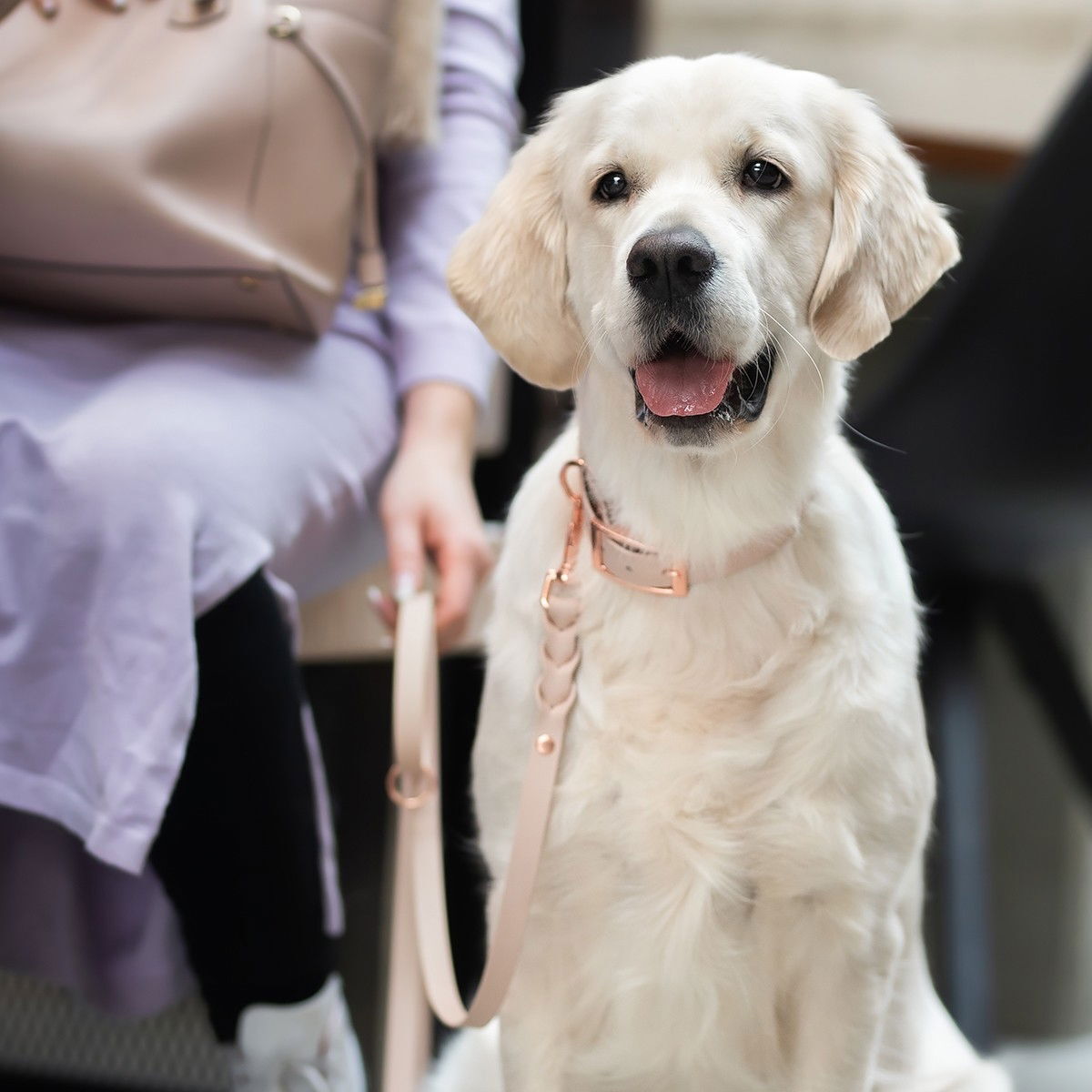 Tyylivoitto Braid leash, nude