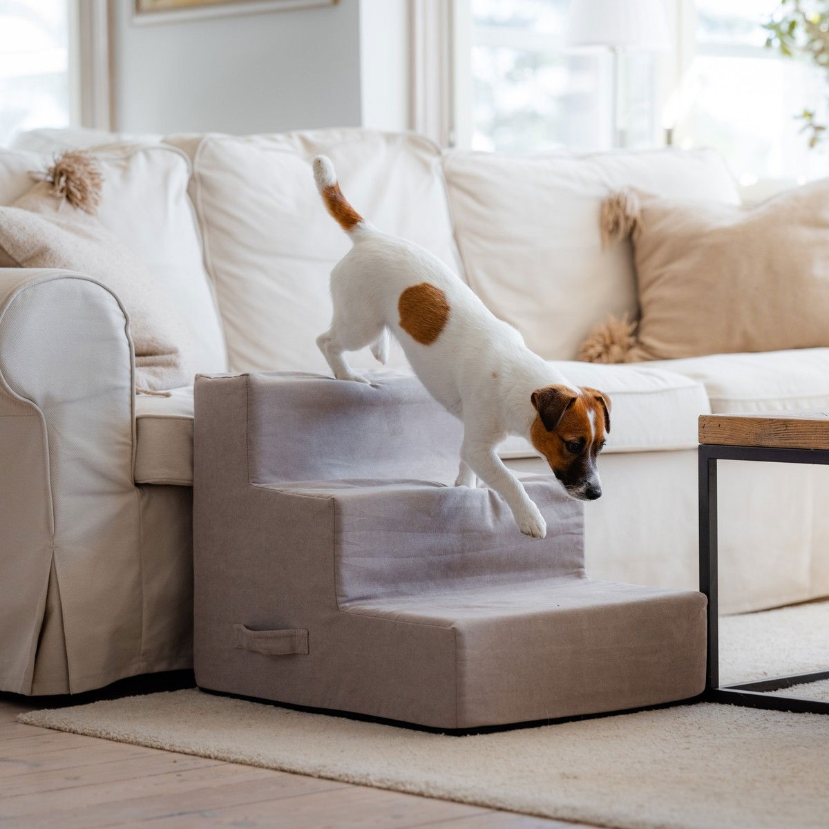 Basic Home pet stairs