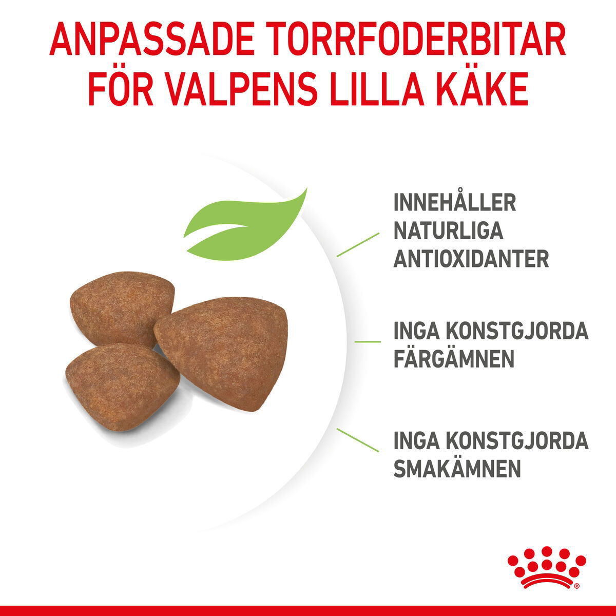 Royal Canin Mini Puppy torrfoder för hundvalp