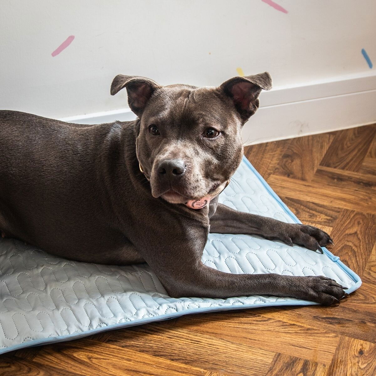 Rosewood cooling mat with cover