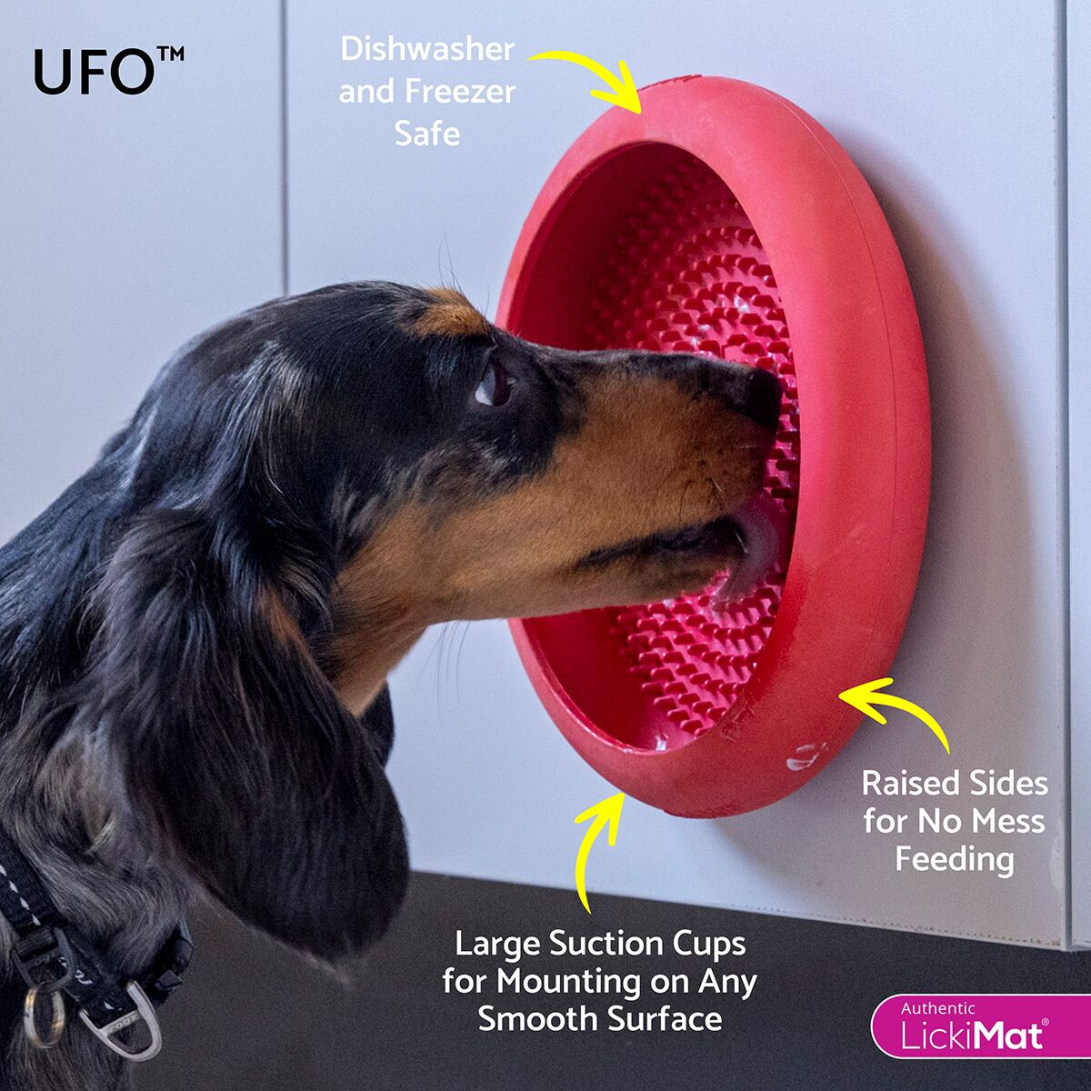 LickiMat UFO Dog