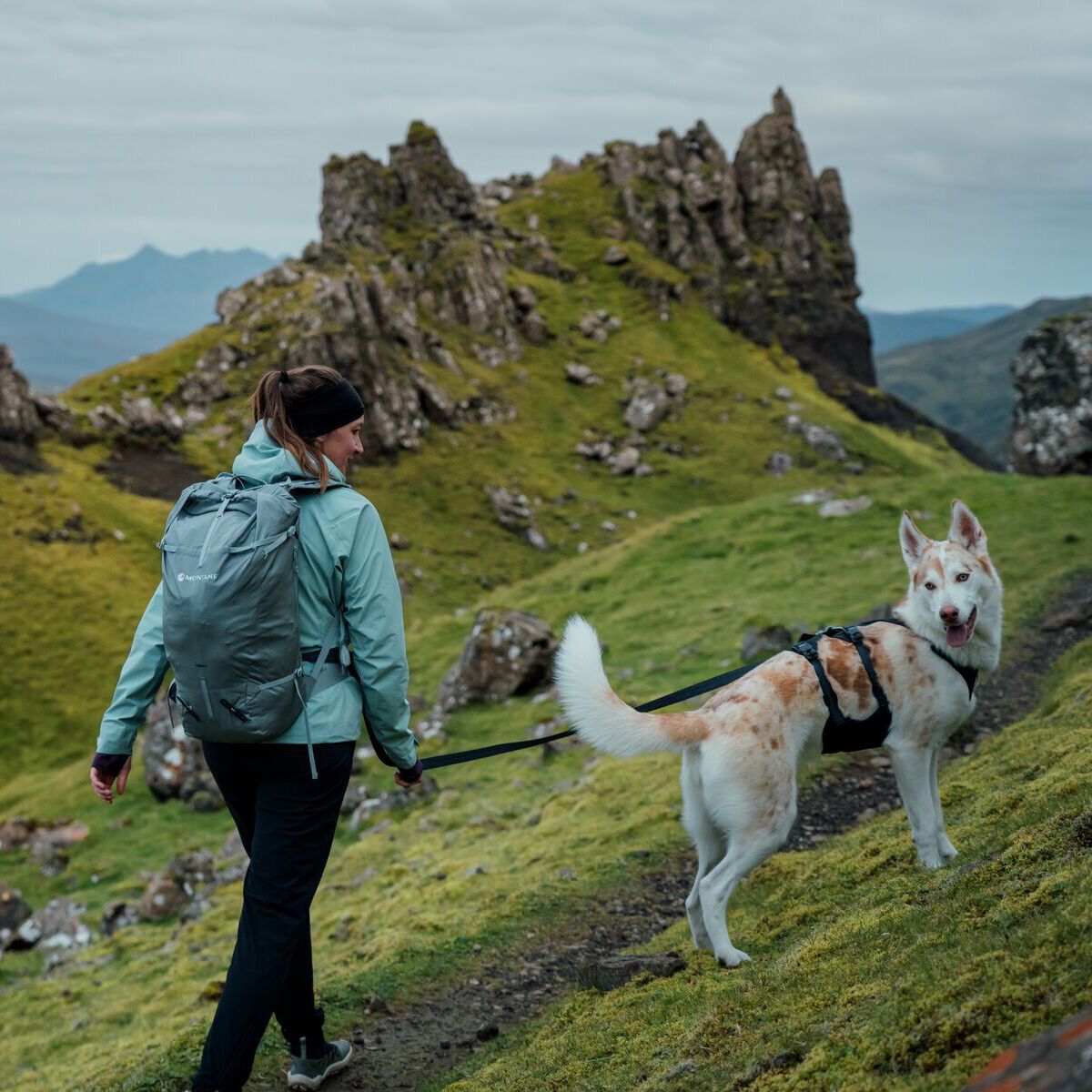 Ruffwear Ridgeline Leash