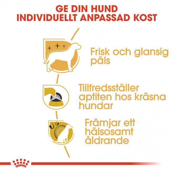 Royal Canin Yorkshire Terrier Adult torrfoder för hund