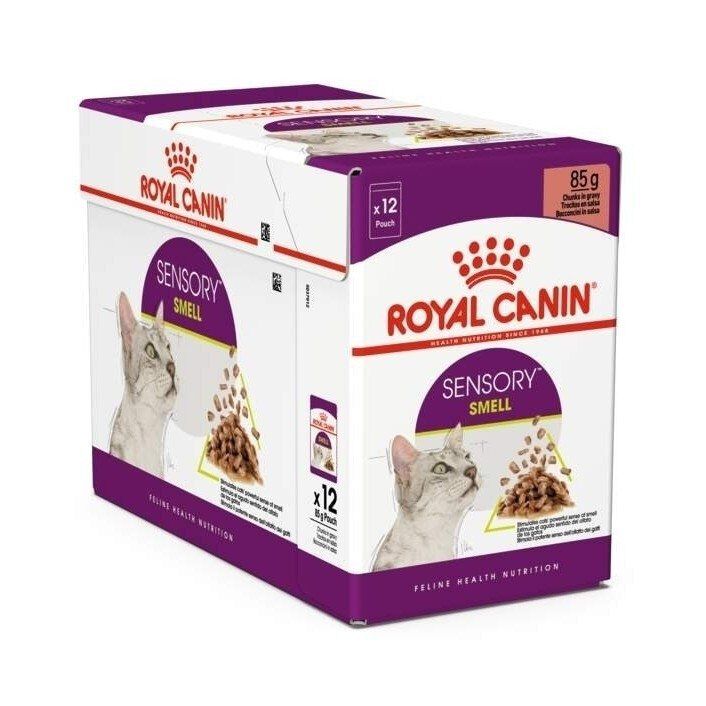 Royal Canin Sensory Smell Gravy Adult våtfoder för katt