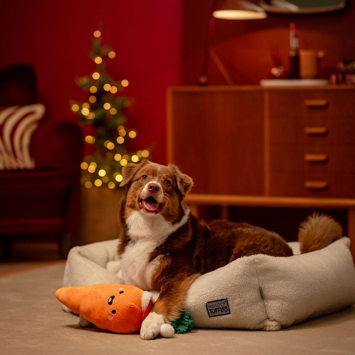 Little&Bigger Xmas Stories XL HappyCarrot w/rope