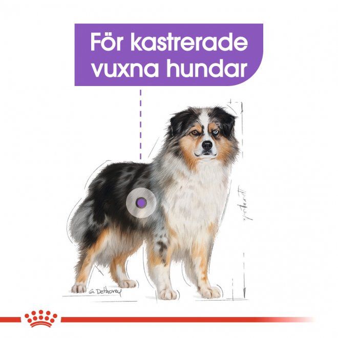 Royal Canin Sterilised Medium Adult torrfoder för hund
