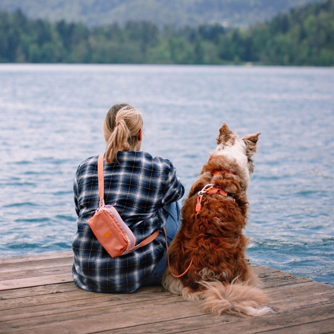 WW Alpha 360 Hip Pack Salmon Pink Mix