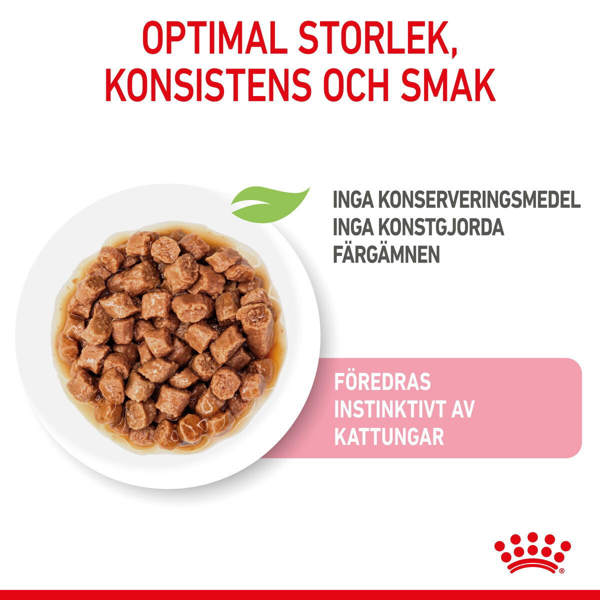 Royal Canin Kitten Gravy våtfoder för kattunge