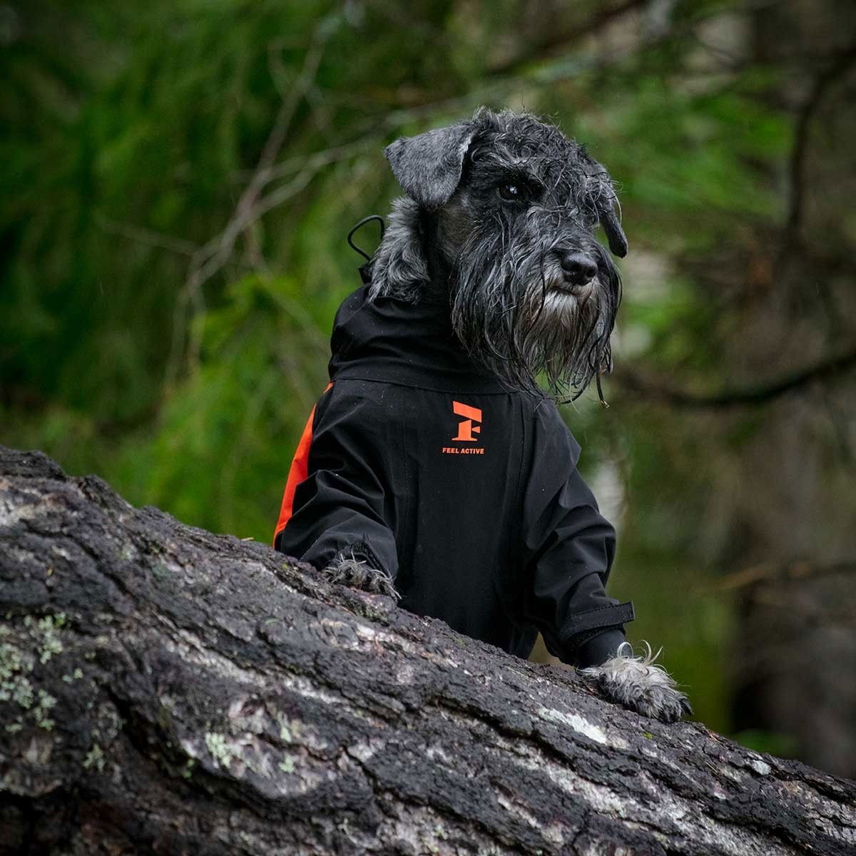 Feel Active Helsingborg refl. overall