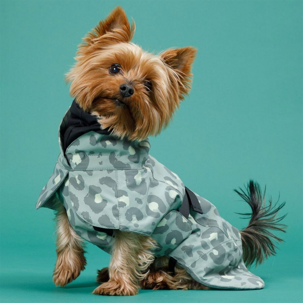 PAIKKA Visibility Vinterjacka till Hund Reflekterande Leopard Grön