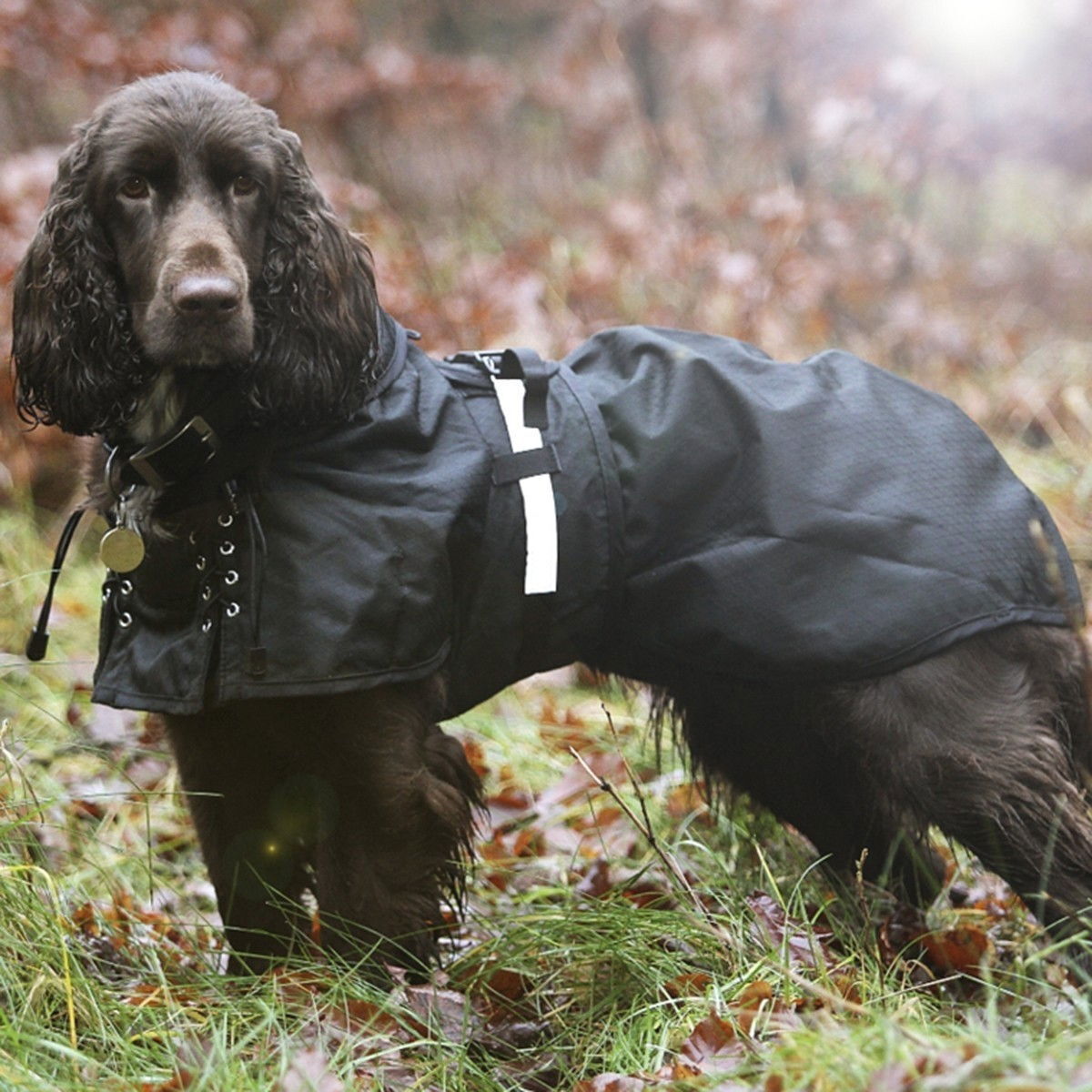 Back on Track Hundregntäcke utan stoppning, Svart