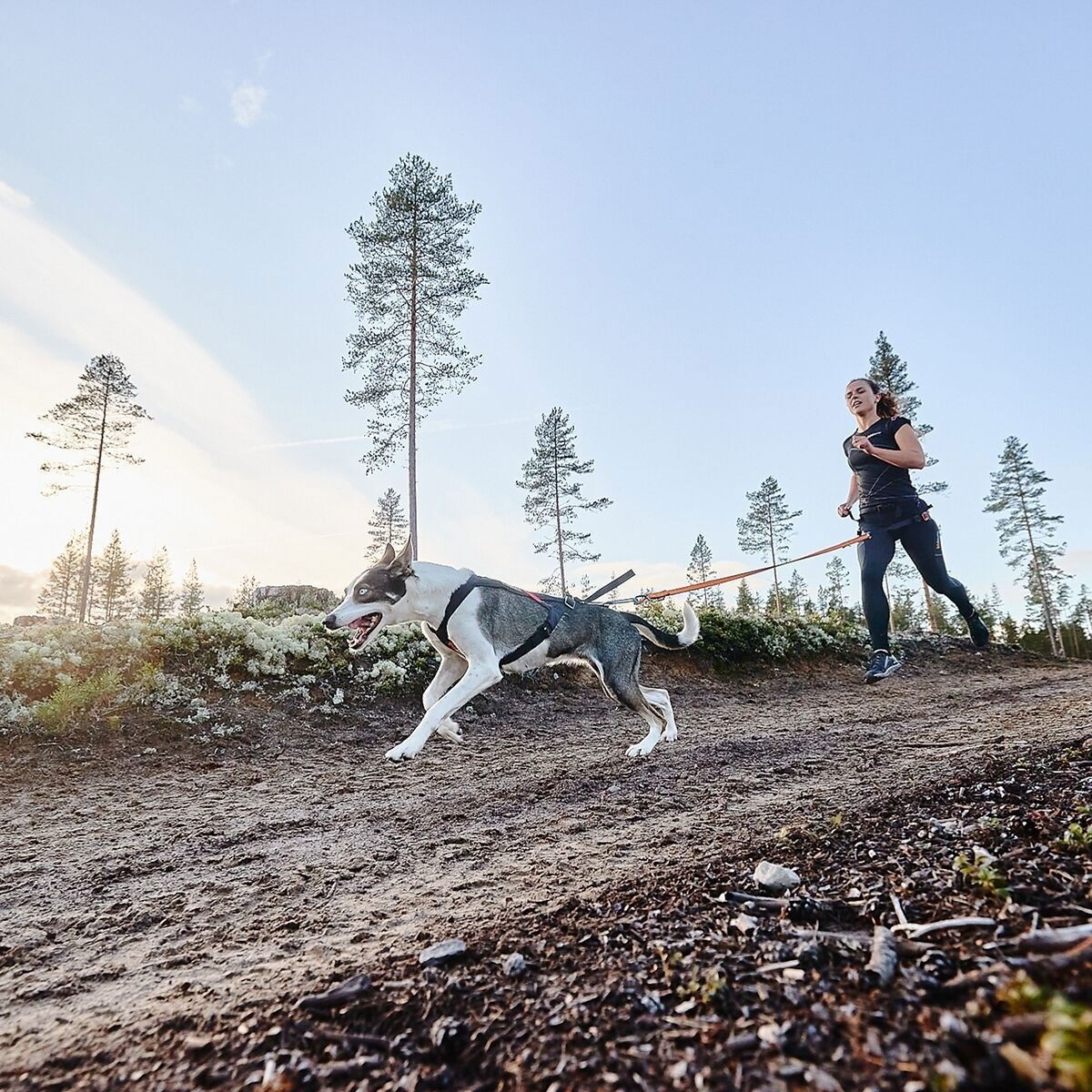 Non-stop Freemotion Dragsele 