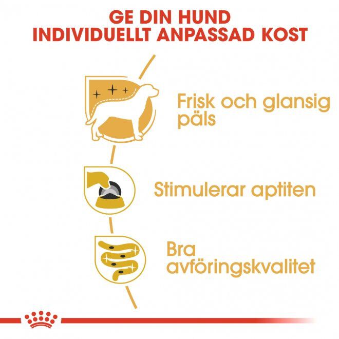 Royal Canin Yorkshire Terrier Adult Loaf våtfoder för hund