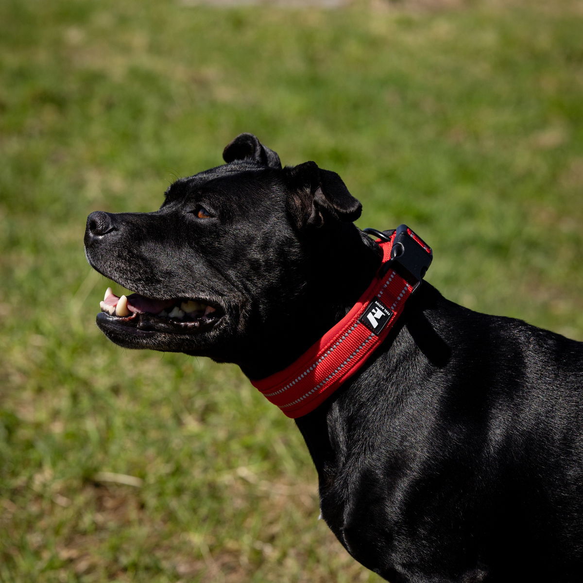 Feel Active Padded collar Fiery Red