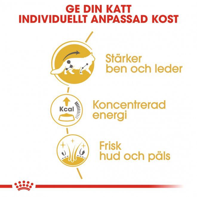 Royal Canin Maine Coon Adult Gravy våtfoder för katt