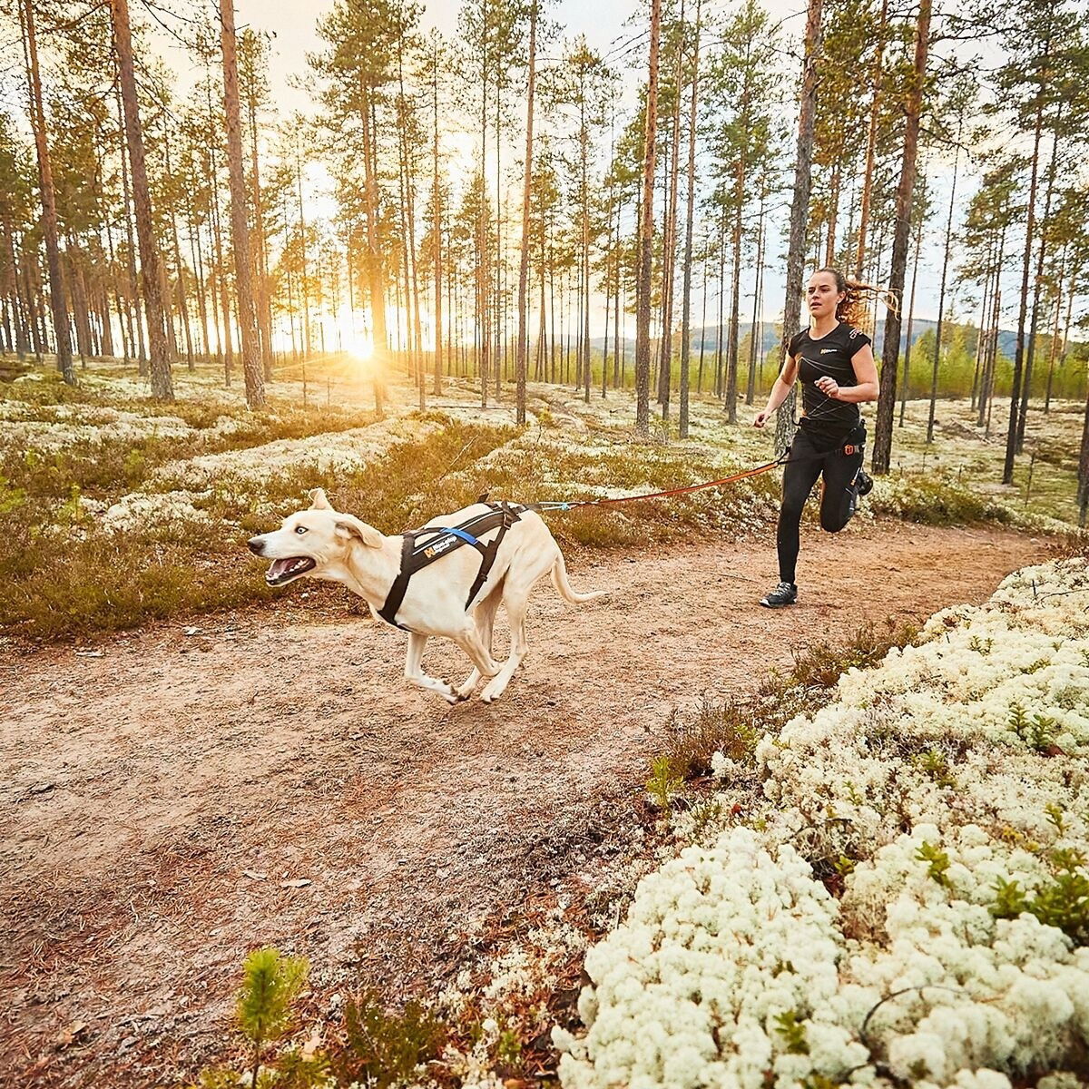 Non-stop Freemotion Dragsele 