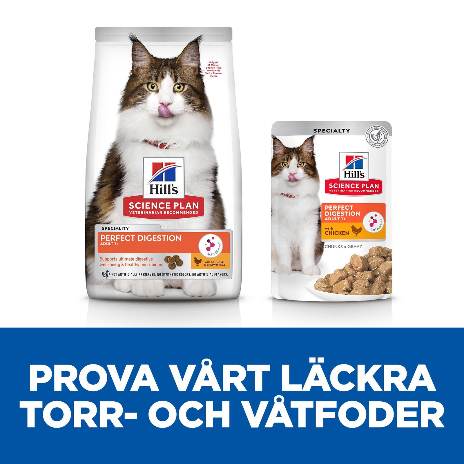 Hill's SP Cat Perfect Digestion Adult 1+ Chicken&Brown rice