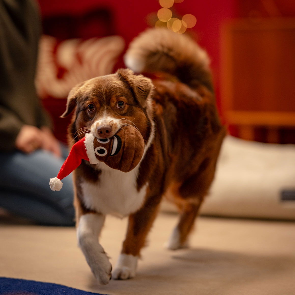 Little&Bigger Seasons Classics Xmas-poop