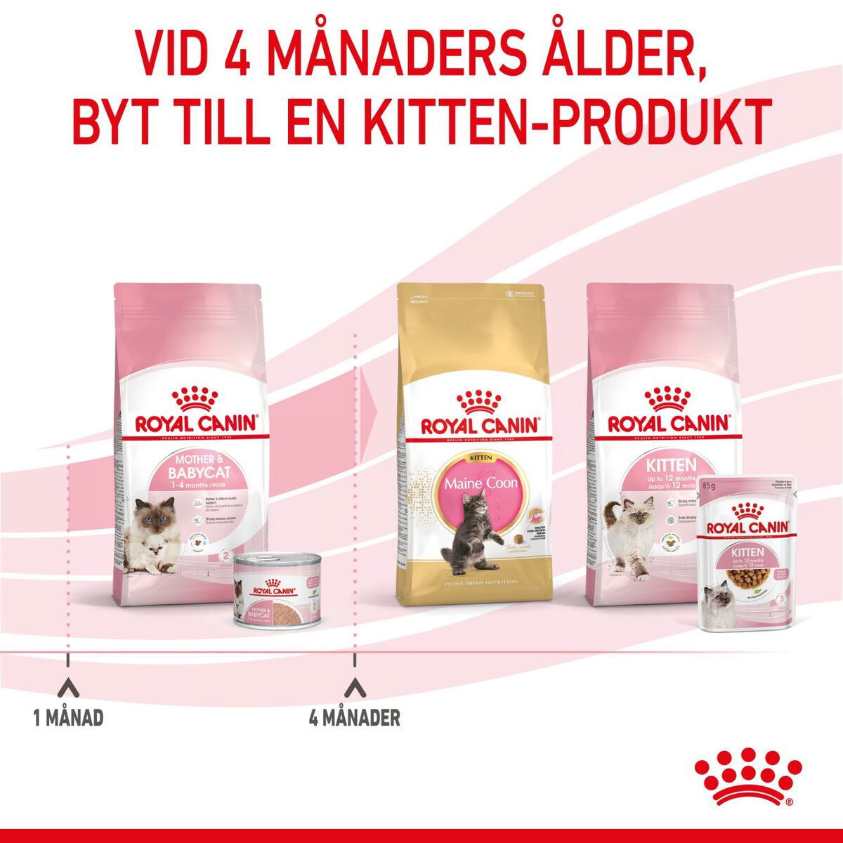 Royal Canin Mother & Babycat mousse våtfoder för katt och kattunge