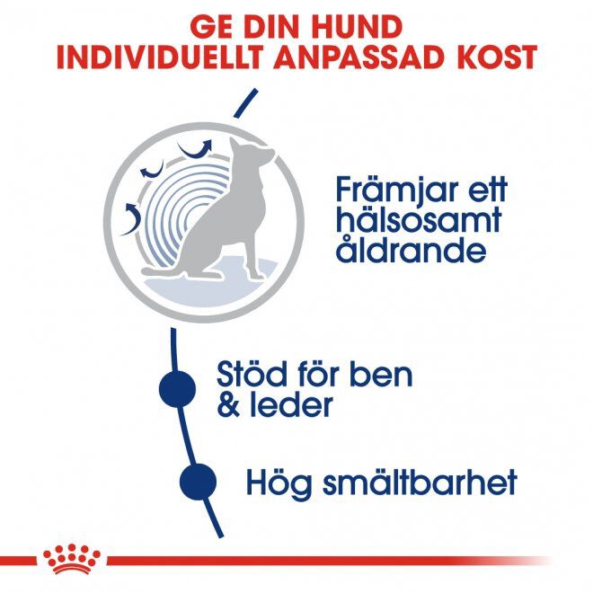 Royal Canin Maxi Ageing 8+ torrfoder för hund