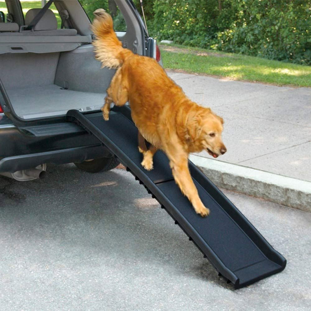 All For Paws Dog Bilramp