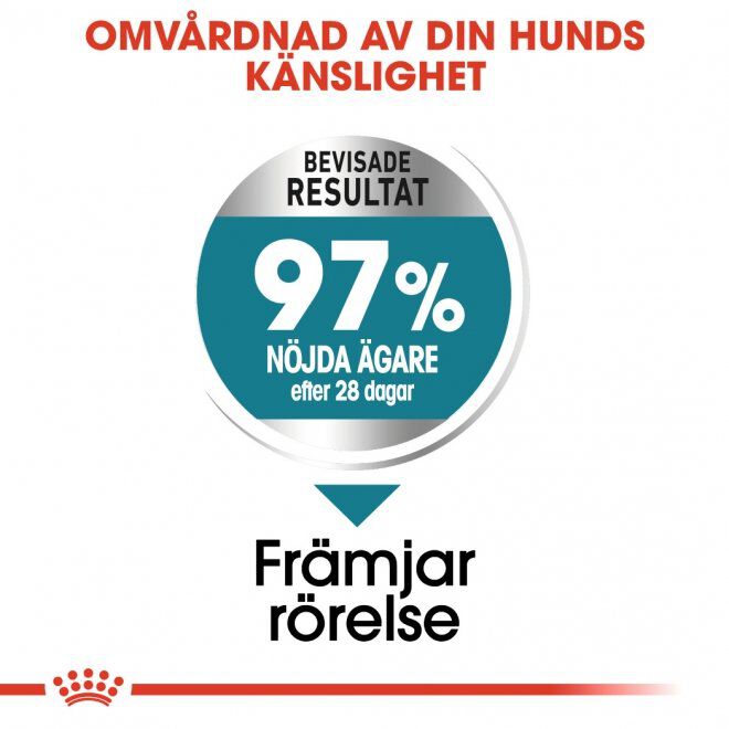 Royal Canin Maxi Joint Care