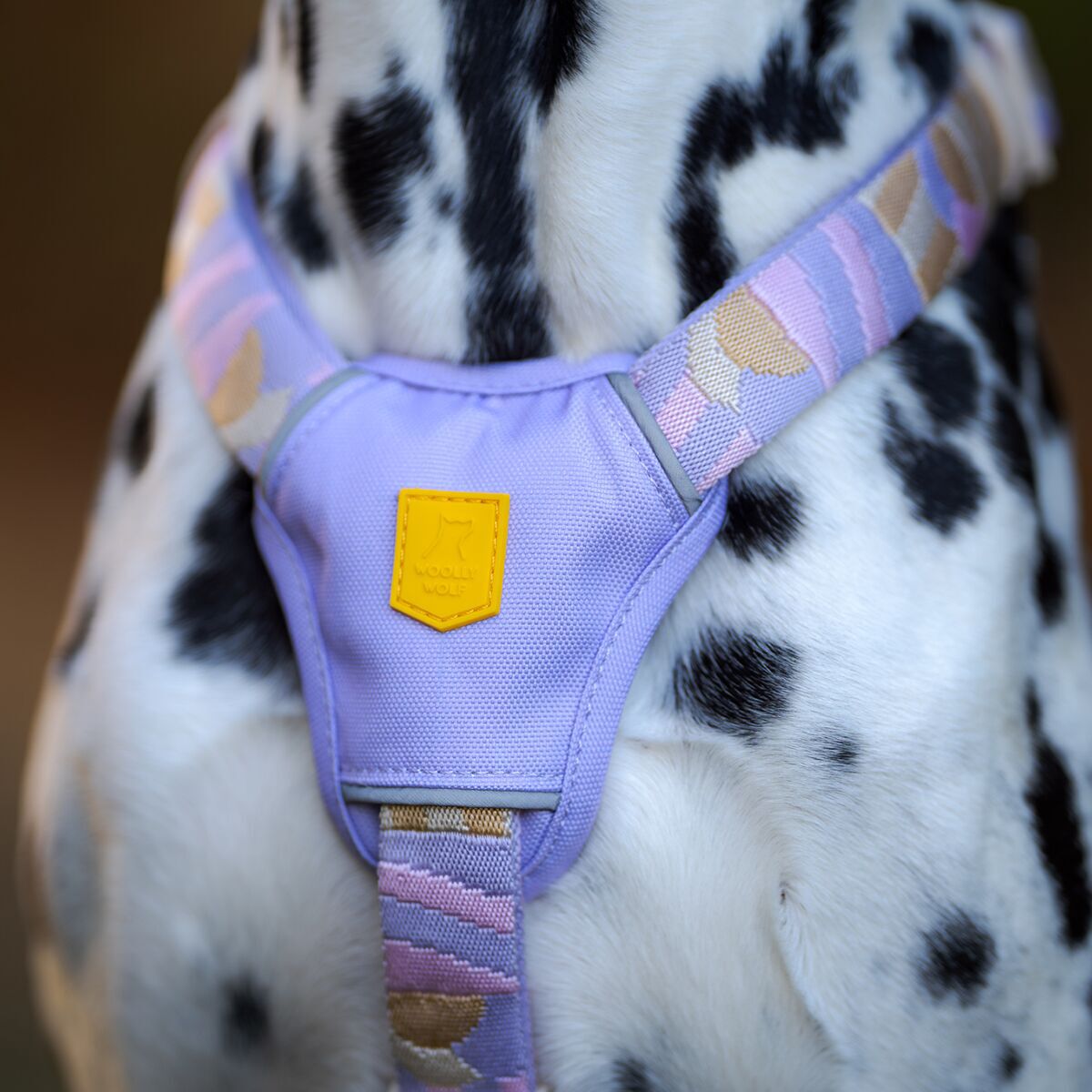 Woolly Wolf Sunshower Harness