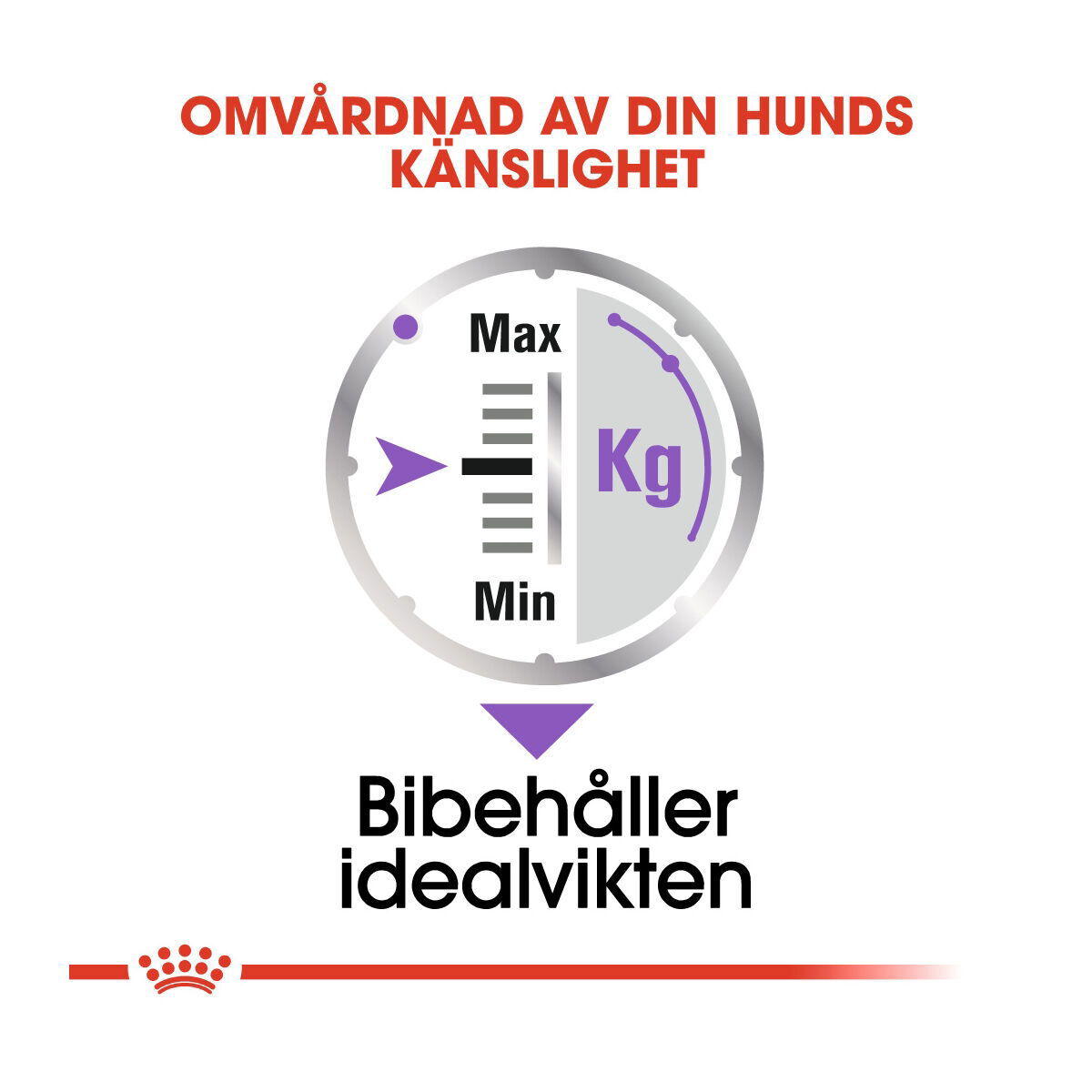 Royal Canin Sterilised Adult Loaf våtfoder för hund