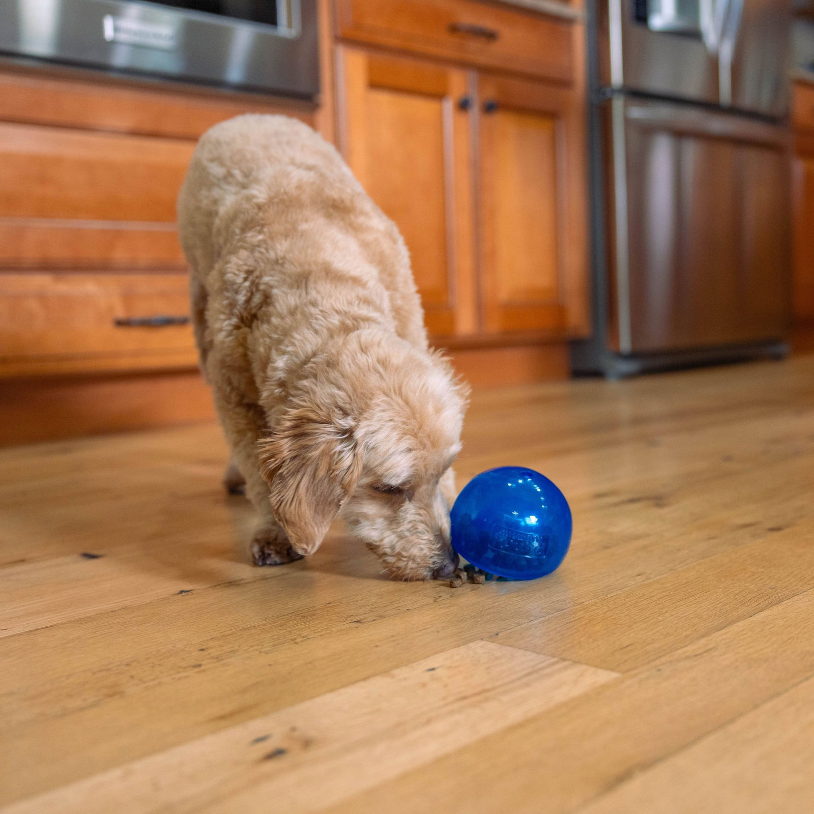 Nina Ottosson Outward Hound Lil Snoop blue