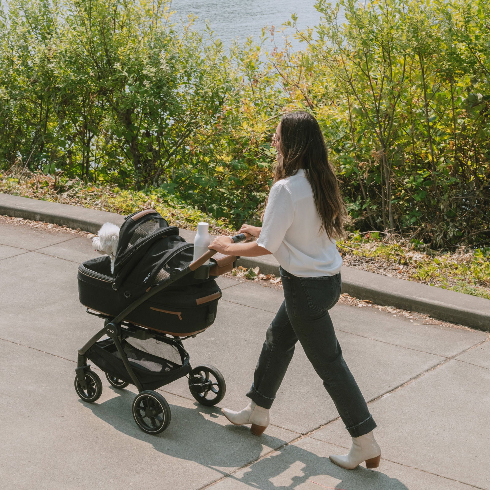Tavo Roscoe Trek stroller frame