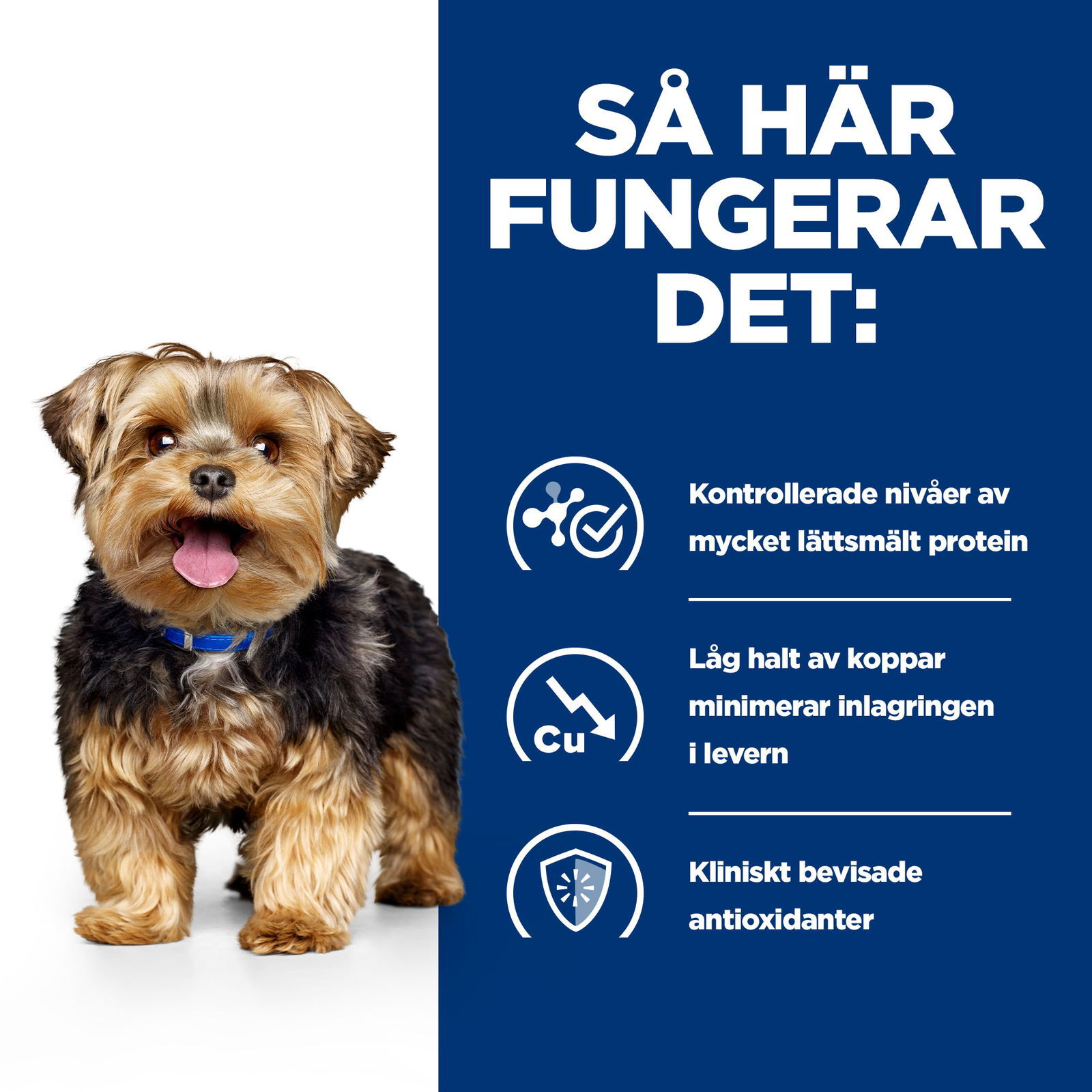 Hills Diet Dog l/d
