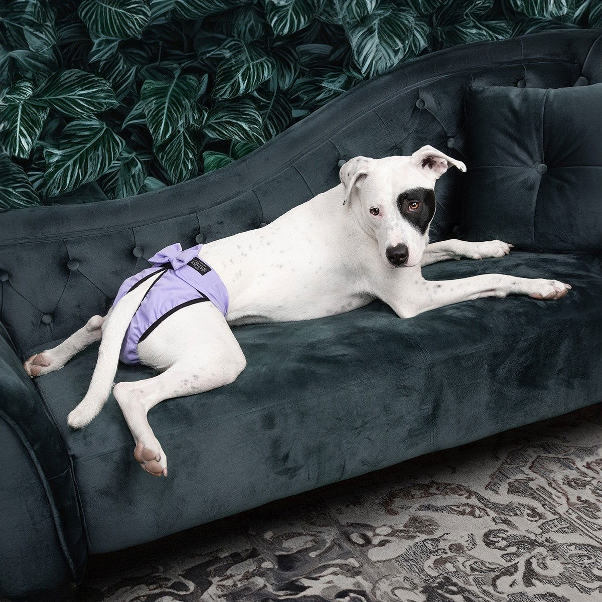 RuttuNuttu heat pants, Diva lila