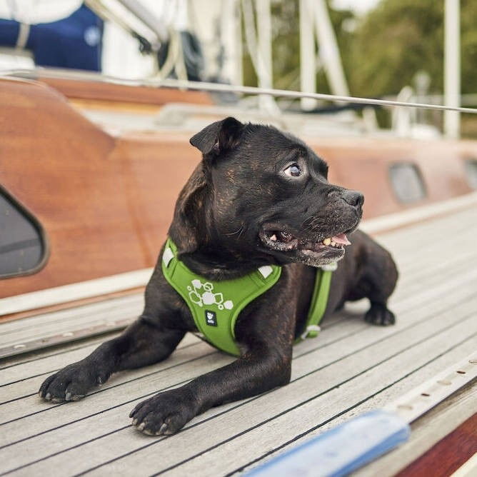 Hurtta Weekend Warrior Harness II ECO parsley